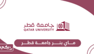 موقع ماي بنر جامعة قطر